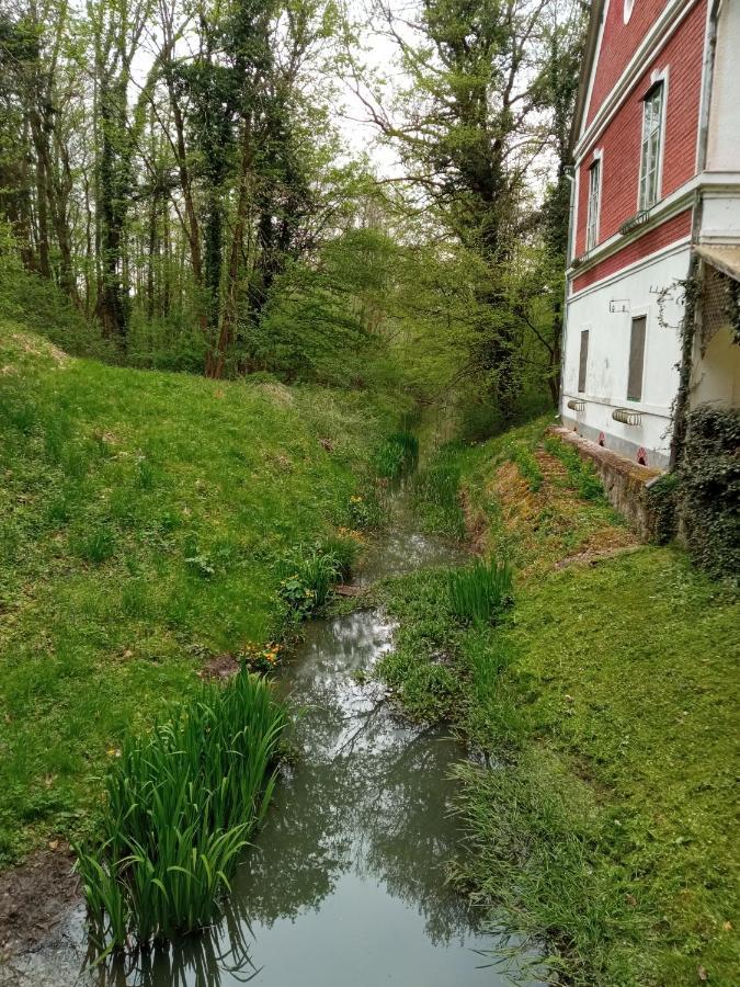 Kalmár Vendégház-Vadászház Tornyiszentmiklos Extérieur photo